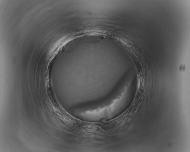 X0000113250339200909171631