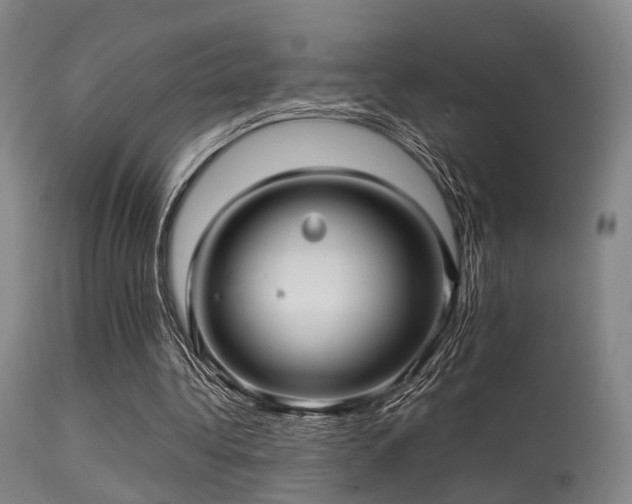 X0000113250340200909171631