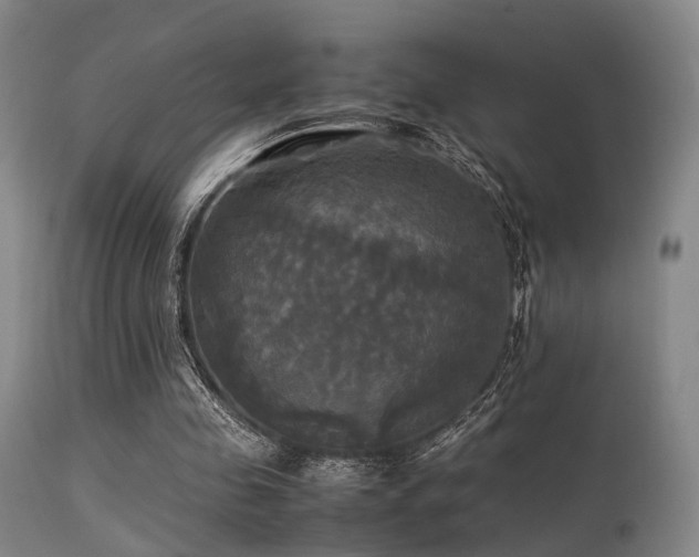 X0000113250341200909171631