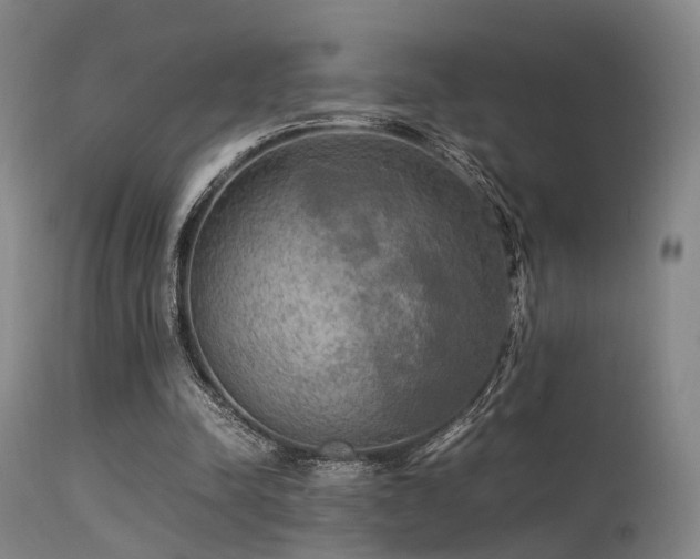 X0000113250342200909171631