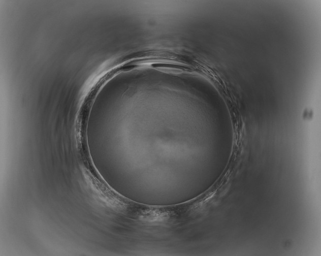 X0000113250343200909171631