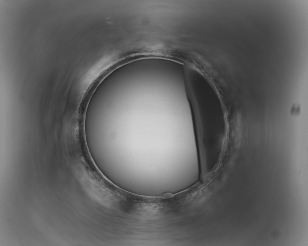 X0000113250344200909171631