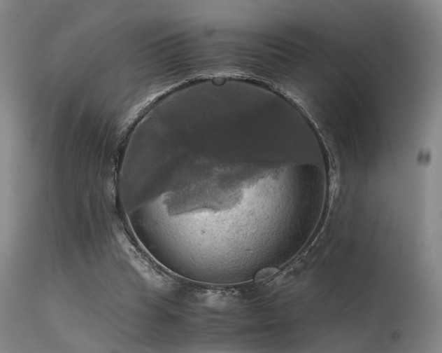 X0000113250345200909171631