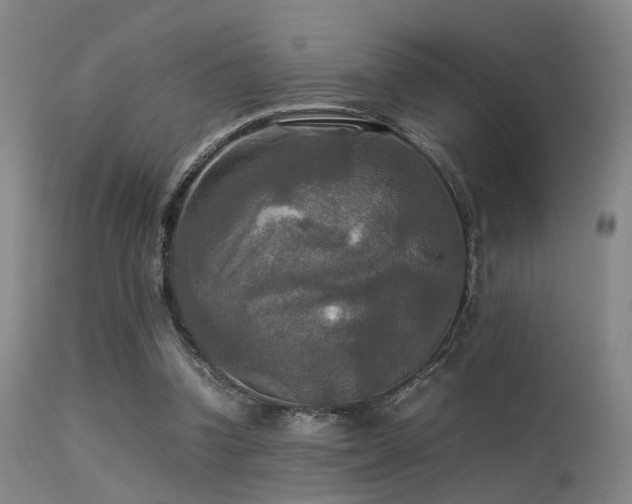 X0000113250346200909171631