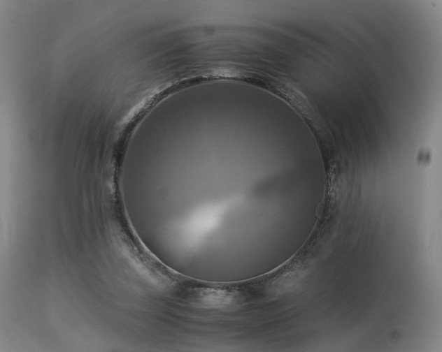 X0000113250347200909171631