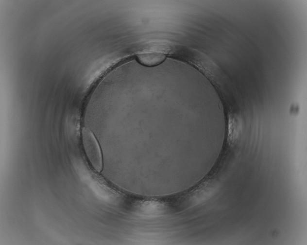 X0000113250348200909171631