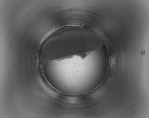 X0000113250349200909171631