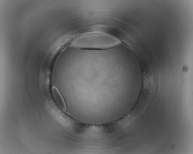 X0000113250350200909171631