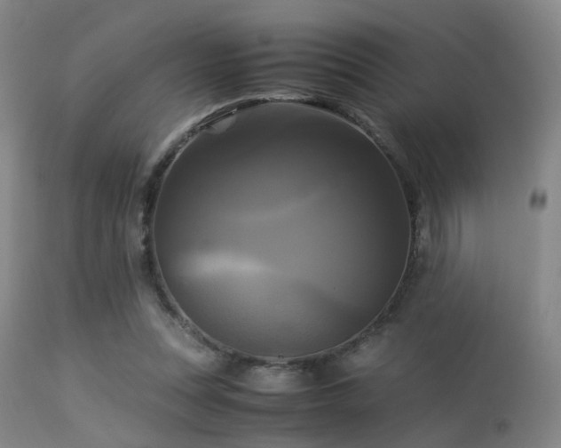 X0000113250351200909171631