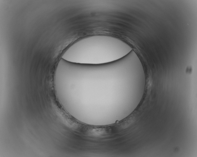 X0000113250353200909171631