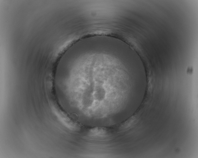 X0000113250354200909171631