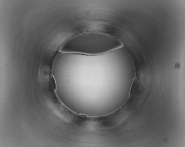 X0000113250356200909171631