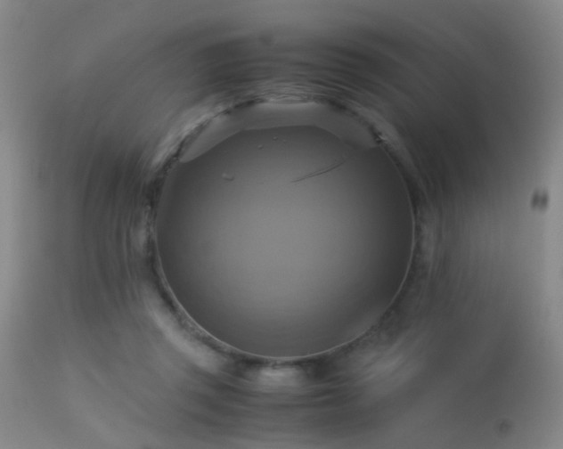 X0000113250357200909171631