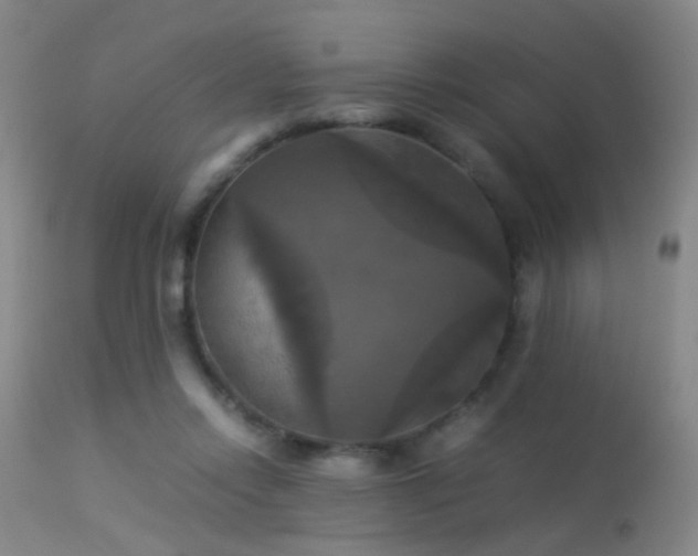 X0000113250358200909171631