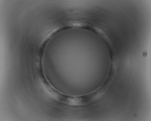 X0000113250359200909171631