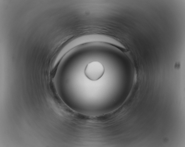 X0000113250360200909171631