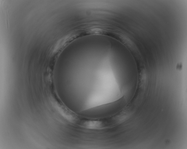 X0000113250361200909171631