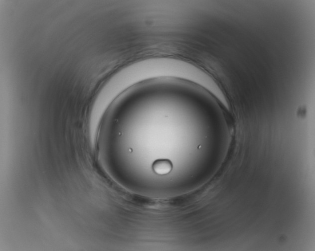 X0000113250362200909171631