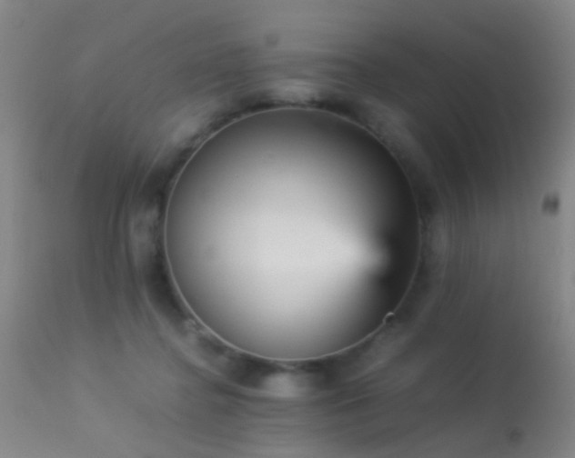 X0000113250364200909171631