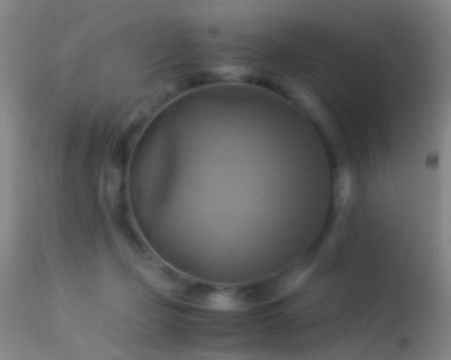 X0000113250365200909171631