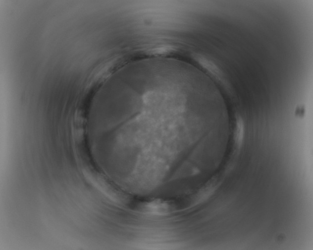 X0000113250366200909171631