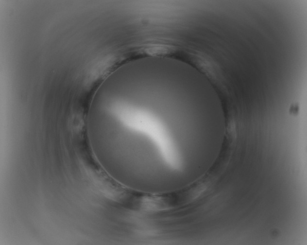 X0000113250367200909171631