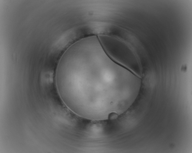 X0000113250368200909171631