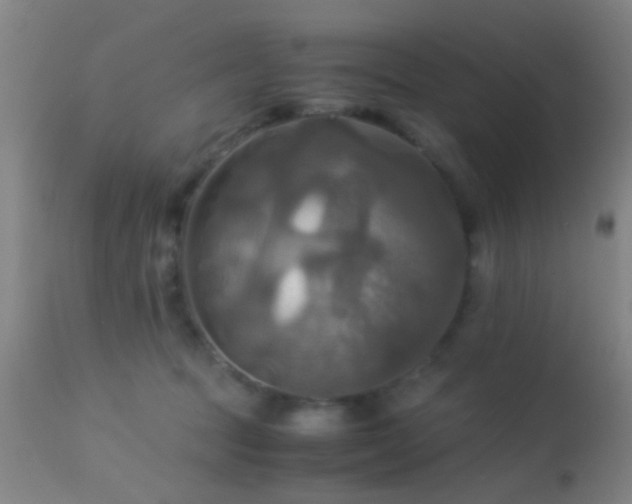 X0000113250369200909171631