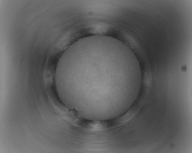 X0000113250370200909171631