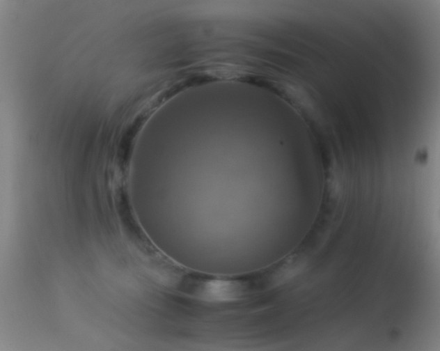 X0000113250371200909171631