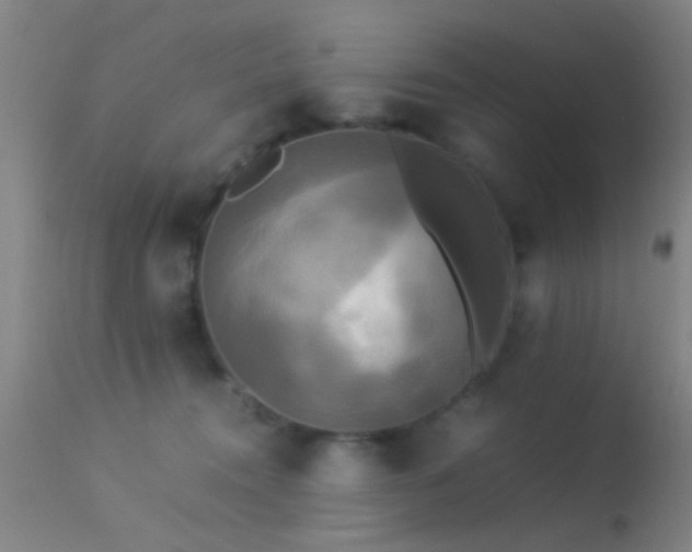 X0000113250372200909171631