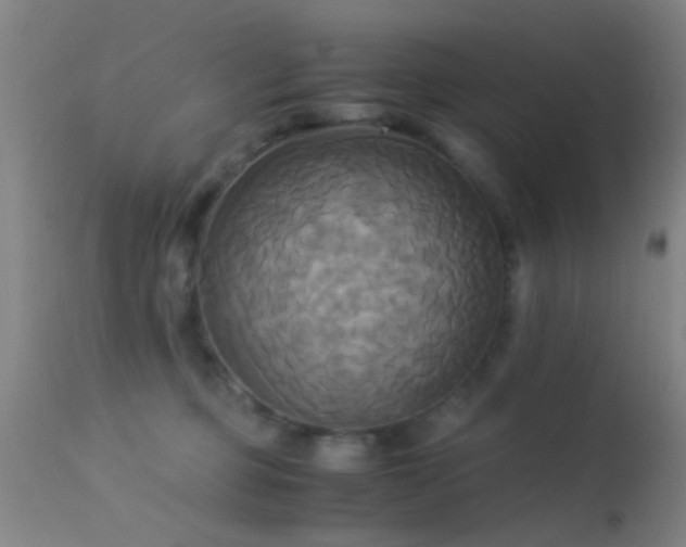 X0000113250373200909171631