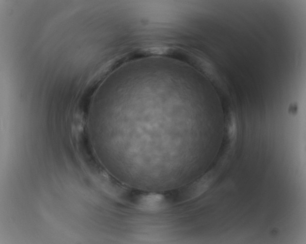 X0000113250374200909171631