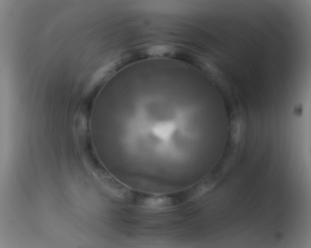 X0000113250375200909171631