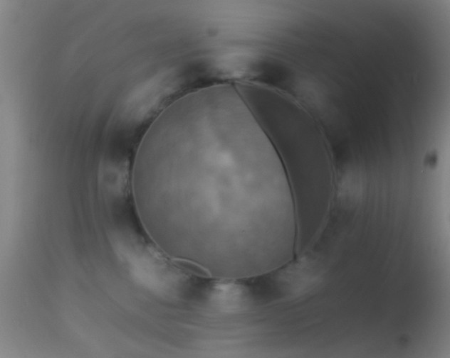 X0000113250376200909171631