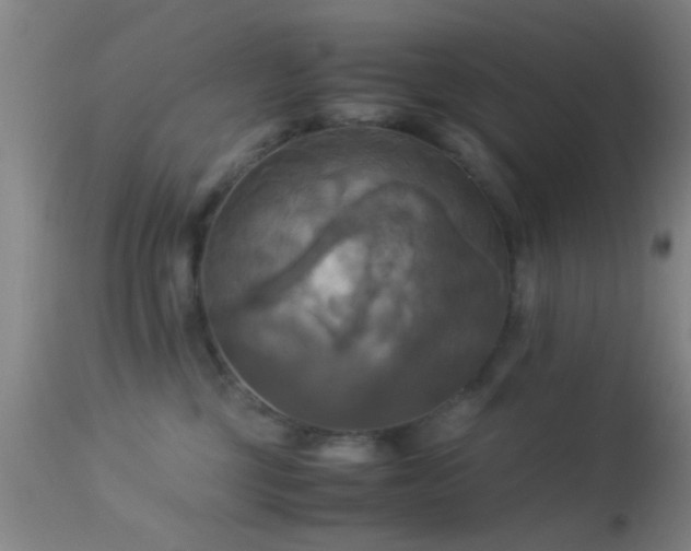 X0000113250377200909171631