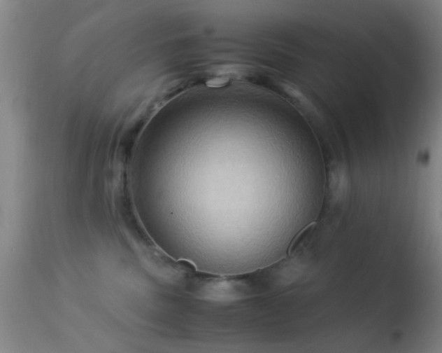 X0000113250379200909171631