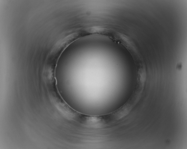 X0000113250380200909171631