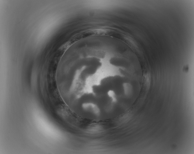 X0000113250381200909171631