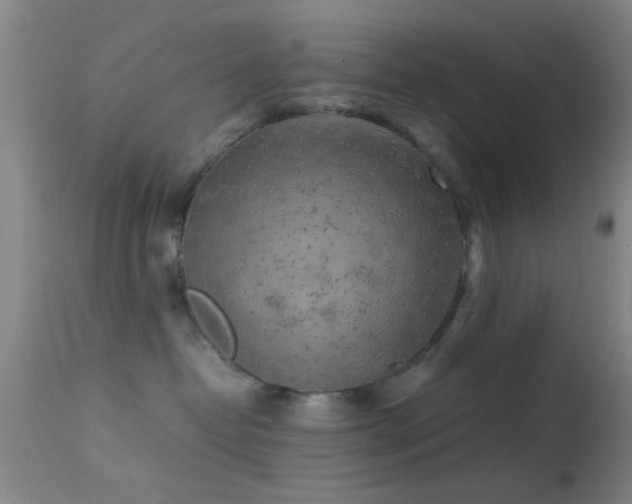 X0000113250382200909171631