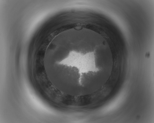 X0000113250383200909171631