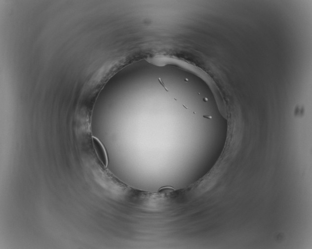 X0000113250384200909171631