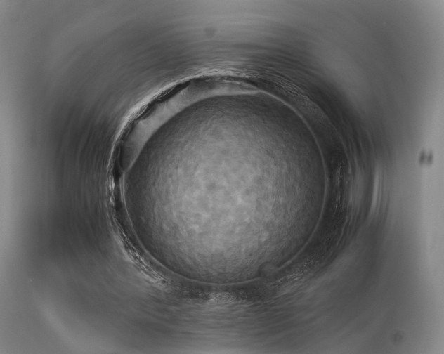 X0000113250388200909171631