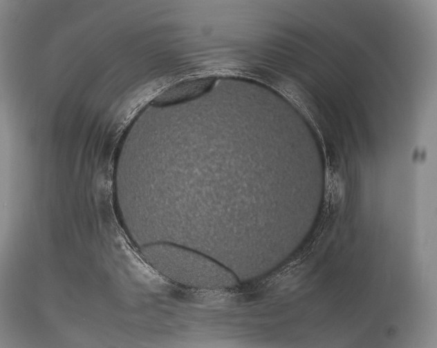 X0000113250389200909171631