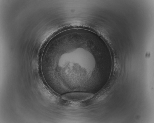 X0000113250391200909171631