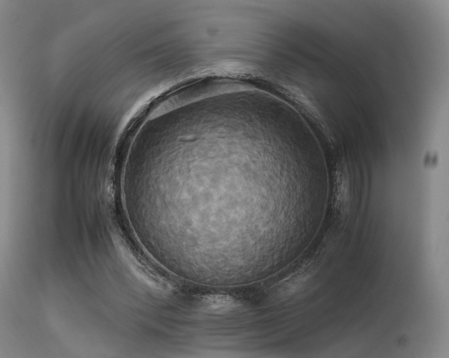 X0000113250392200909171631