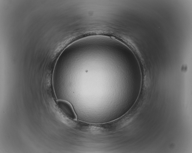 X0000113250393200909171631