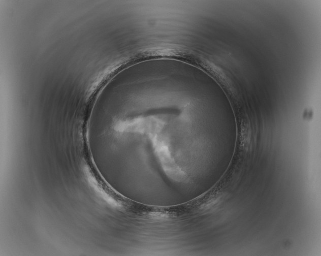 X0000113250394200909171631