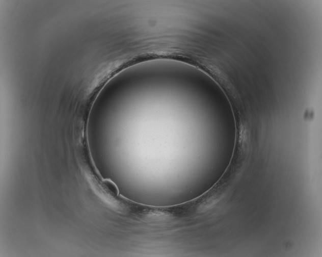 X0000113250397200909171630