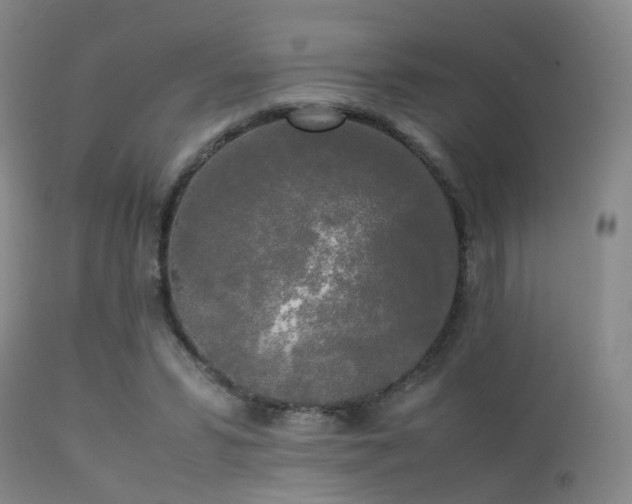 X0000113250399200909171630